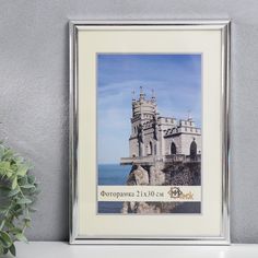 Фоторамка пластик 21х30 см 385-silver Светосила