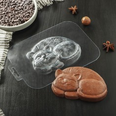 Форма для шоколада и конфет «Кисонька», 127x93x14 мм, цвет прозрачный Profit