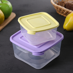 Набор пищевых контейнеров «Каскад», 2 шт: 460 мл; 1 л, цвет МИКС No Brand