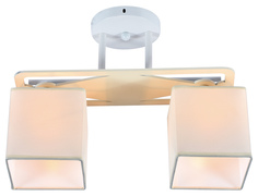 Потолочный светильник Escada 1117/2PL E27*60W Chrome/White