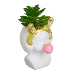 Суккулент декоративный в кашпо керамика, пластик, 14x9см No Brand