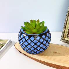 Цветочная композиция, суккуленты в кашпо, пластик, керамика, 8x8x10 см, арт.61 No Brand