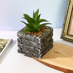 Цветочная композиция, суккуленты в кашпо, пластик, керамика, 7x6x10 см, арт.75 No Brand