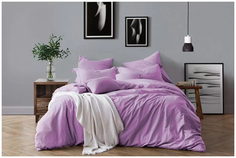 50200/30 КПБ 1,5сп н(2) 50*70 "Modern" Berry микрошелк Mona Liza