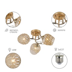 Люстра потолочная Rivoli Rivoli Alexia 9115-303 Б0054732