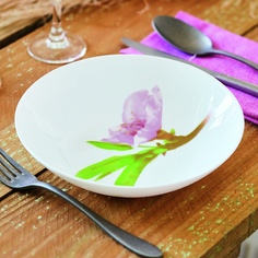 Тарелка суповая УОТЕР КОЛОР 20 см (LUMINARC J0765)