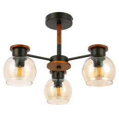 Evoluce Потолочная люстра Rasco SLE108102-03 Evoluce