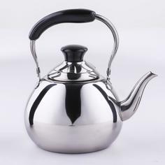 Чайник Orchid, 1 л, цвет серебряный No Brand