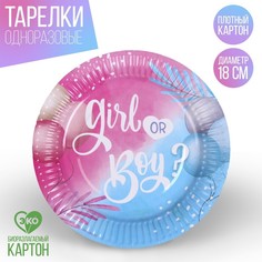 Тарелка бумажная «Девочка или мальчик», 18 см Страна Карнавалия