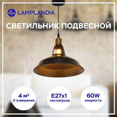 Подвесной светильник L1089-1 DUGLAS, Е27, 60Вт Lamplandia