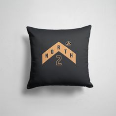Подушка декоративная 45х45см Баскетбол Toronto Raptors Leonard 365home