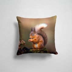 Подушка декоративная 45х45см Звери Разные звери Белка 365home
