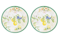 Набор круглых тарелок 2 предмета 19х19х2 см Elan Gallery Лимоны