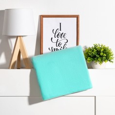 Плед Экономь и Я Мятный 150x180 см, пл.160 г/м2, 100% п/э No Brand