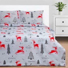 Этель Комплект: пододеяльник и 2 наволочки Cozy winter 175х215 см, 50х70 см - 2 шт, 100% х