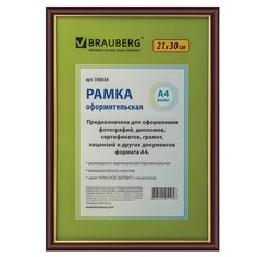 Набор из 5 шт, Рамка 21х30 см (390024) No Brand