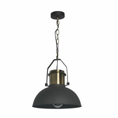 Светильник подвесной Inspire Ted, 1 лампа, 3 м?, цвет черный