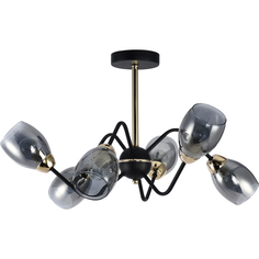 Люстра потолочная XA1368B/6 BK+FGD, E27x6x60W No Brand