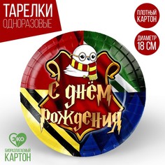 Тарелка бумажная «Волшебного дня рождения», 18 см (10 шт.) Страна Карнавалия