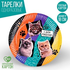 Тарелка бумажная «С днем рождения. Коты», 18 см (10 шт.) Страна Карнавалия