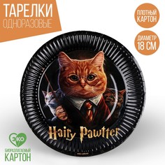 Тарелка бумажная Happy Birthday «Волшебный кот», 18 см (10 шт.) Страна Карнавалия