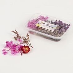 Набор сухоцветов «Сиреневая дымка» Школа талантов