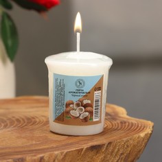 Свеча ароматическая "Black Coconut", черный кокос, 5х4,5 см Богатство Аромата