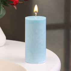 Свеча-цилиндр гладкая,5х10 см, пальмовый воск, нива, 6 ч Дарим красиво