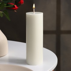 Свеча-цилиндр гладкая,5х15 см, пальмовый воск, белая Дарим красиво