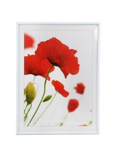 Фоторамка пластиковая 15x21 poster white белая Pioneer