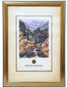 Фоторамка пластиковая 21x30 (задник 1,2мм), крапленое золото Pioneer