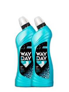 Чистящий гель для унитаза Way Day Эффект чистоты, 700 мл, 2 шт. Wayday