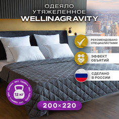 Утяжеленное сенсорное одеяло WELLINAGRAVITY 200х220 темно-серый 12кг WGS-22