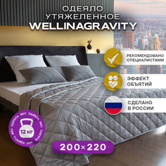 Утяжеленное сенсорное одеяло WELLINAGRAVITY 200х220 серый 12кг WGS-22