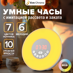 Электронный будильник/Настольные часы с FM Приключения Электроники