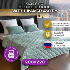 Утяжеленное сенсорное одеяло WELLINAGRAVITY 200х220 мятный 12кг WGS-22