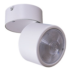 Светильник накладной точечный поворотный Reluce 84295-9.5-001RT LED12W WT