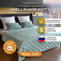 Утяжеленное сенсорное одеяло WELLINAGRAVITY 200х220 мятный 9кг WGS-22