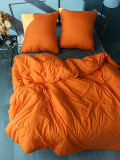 Комплект постельного белья Павлина Манетти полисатин однотонный, 1,5-спальный, S19 Pavlina