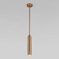 Подвесной акцентный светильник Eurosvet Pacific 50255/1 50 Вт GU10 латунь