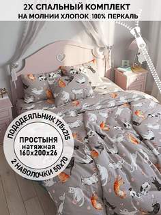 Постельное белье Кот Коттон "Kitties" 2-спальный