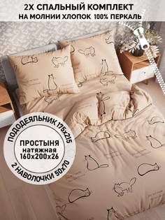 Постельное белье Кот Коттон "Котики (беж)" 2-спальный