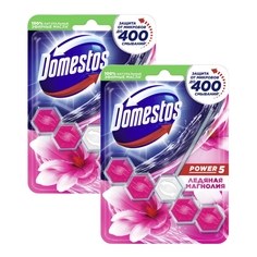 Комплект Блок для очищения унитаза Domestos Power 5 Ледяная Магнолия 55 г х 2 шт