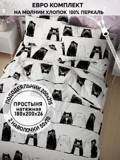 Постельное белье Кот Коттон "Коты" евро