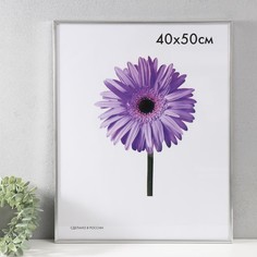 Фоторамка пластик Lida 40х50 см серебро No Brand