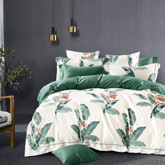 Постельное белье из мако-сатина Tango TIS-237 50х70 (2шт), 70х70 (2шт) евро