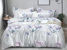 Постельное белье 2 спальное Cleo Art Color наволочки 70х70