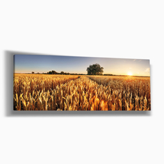 Картина интерьерная на холсте Postermarket "Поле" 45х115 см