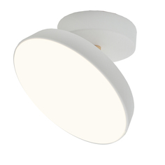 Настенно-потолочный светильник Escada 20023SMA/01LED WH