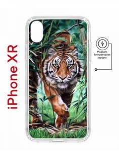Чехол на iPhone XR MagSafe Kruche Print Крадущийся тигр противоударный с магнитом КruЧЕ